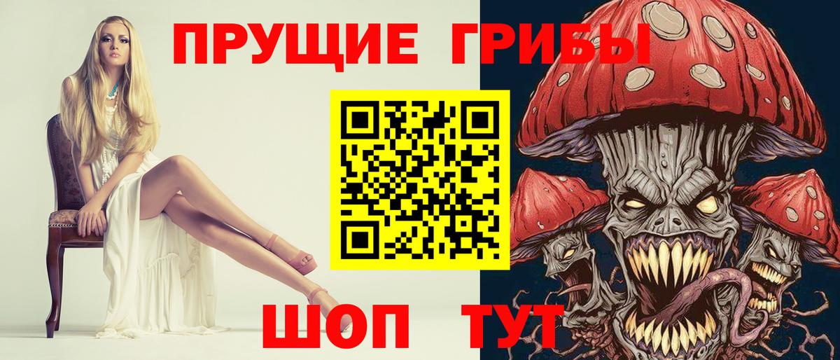 Галлюциногенные грибы ЛСД Гусиноозёрск