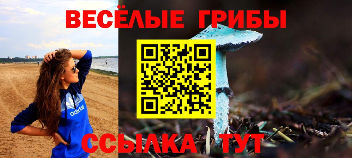 Гусиноозёрск  Галлюциногенные грибы прущие грибы  Вход с VPN 